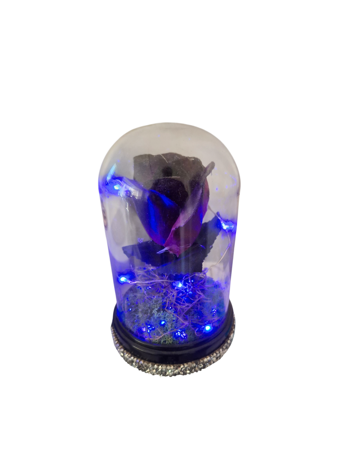 Enchanted Purple Rose Dome