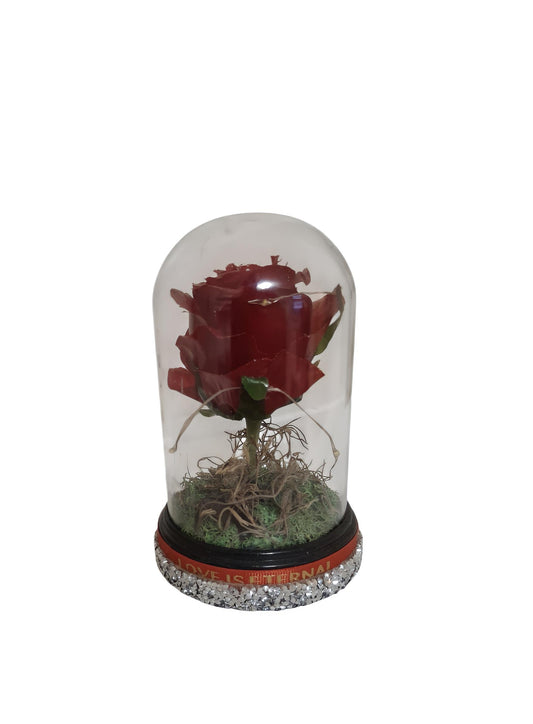 Enchanted Red Rose Dome — "Love Is Eternal"