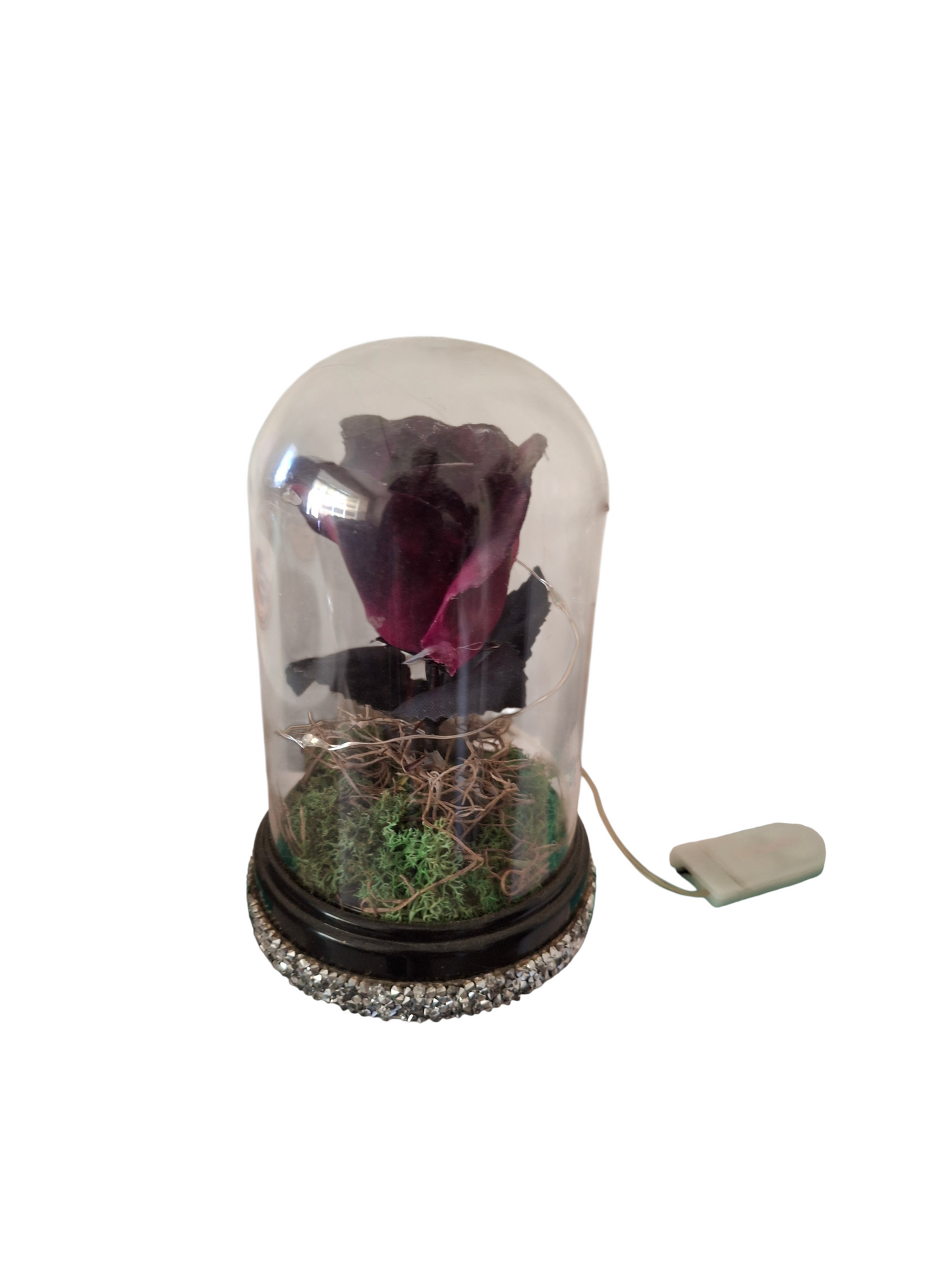 Enchanted Purple Rose Dome