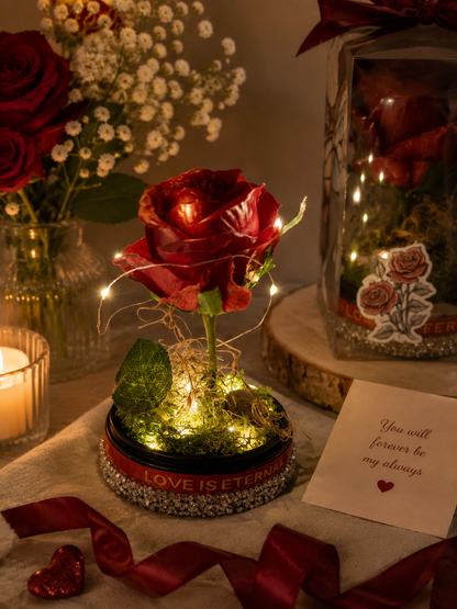 Enchanted Red Rose Dome — "Love Is Eternal"